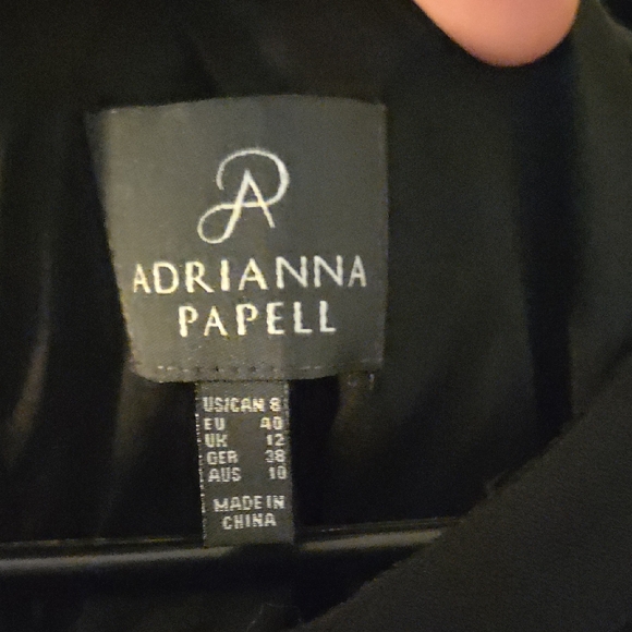 Adrianna Papell Black Lace Mini Dress - Picture 2 of 4